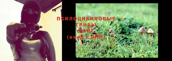 дмт Белоозёрский